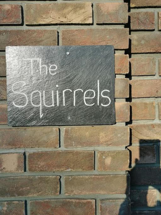 The Squirrels- Alresford, Essexアパートメント エクステリア 写真